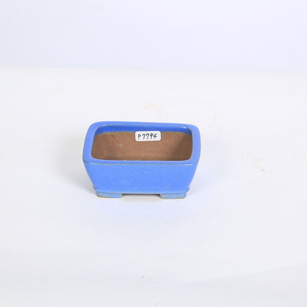 ���微ȭ���ƾ���Ĺ��Ĺ��ȭ�ڸ��ʡ�*shibakatu��8.8cm