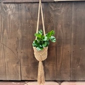 ������졡���տ�ʪ���ڥڥ��ߥ� ���֥ĥ��ե��ꥢ*���Ԥߥ��塼���ߤꥫ�С�