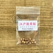 ͷߺϡҡߺ*ʤɤҤ󤵤/ɥҥ󥵥