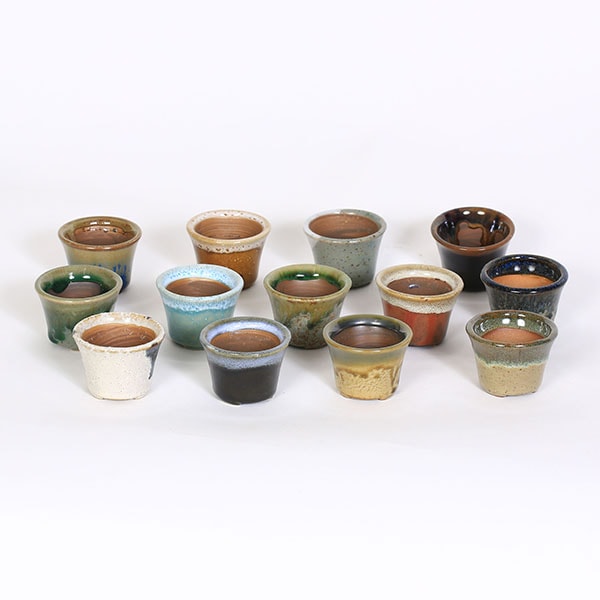 鉢：瀬戸焼丸小鉢 *5点セット 5.6cm 資材 | 新着商品,新入荷：鉢