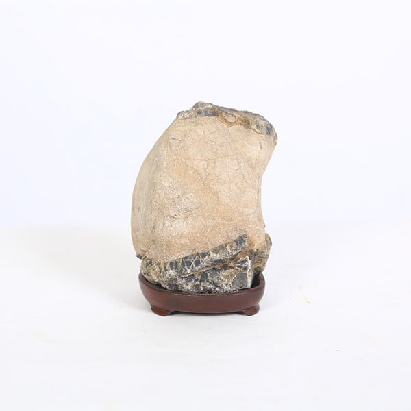 水石：貴船石・姿石（銘「狸公」）【現品】*資材 キフネ | 水石・飾り