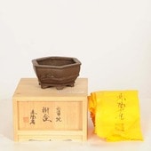 盆栽鉢・水盤,現代小鉢 | 遊恵盆栽 本店