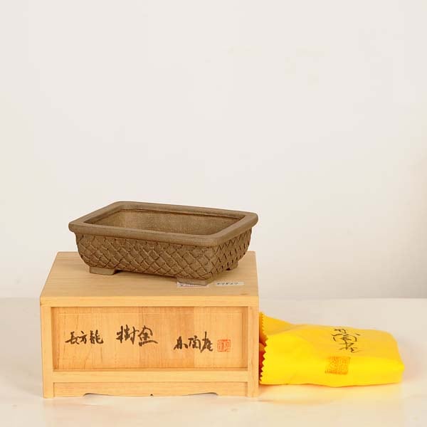 ���微ȭ��ƫ����Ĺ��ȭ��Ĺ���ơ١ڸ��ʡ�*toujyaku��11.5cm
