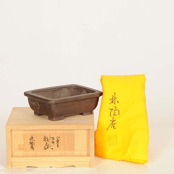 ���微ȭ��ƫ����Ĺ��ȭ��Ĺ���ӡ١ڸ��ʡ�*toujyaku��11.0cm