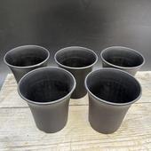 �ץ饹���å��ݥåȡ�3�桡�ߥ˥��ȭ*5�ĥ��å�