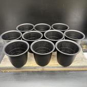 �ץ饹���å��ݥåȡ�3.5�桡FRȭ*10�ĥ��å�