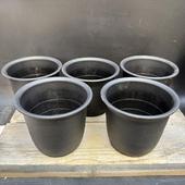 �ץ饹���å��ݥåȡ�4.5�桡FRȭ*5�ĥ��å�