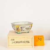 微ȭëĹȭؿ̶Ĺȭ١ڸʡ*ikkou17.0cm