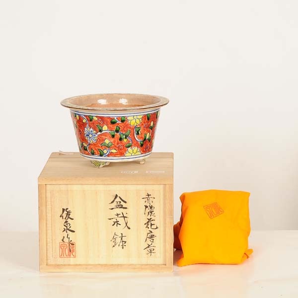 現代小鉢：俊泉 丸鉢『赤濃花唐草丸鉢』【現品】*shunsen 13.0cm