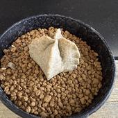 ¿����ʪ���ۥ磻�ȥ������ͥ� ���饵*��4��������ʡ����ʸ¤�