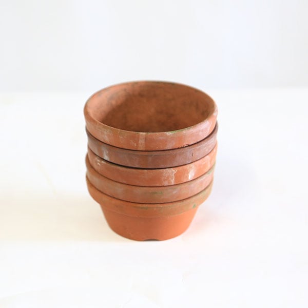 ȭ������š۹��ǾƤ�ȭ���벹��3������5�ĥ��å�*���