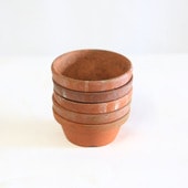 ȭš۹ǾƤȭ벹35ĥå*