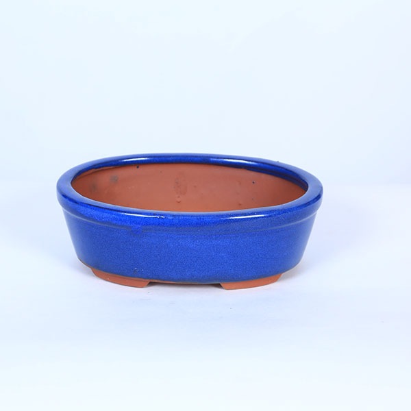 鉢：鉢：中国産小鉢 20.5cm*資材 | 盆栽鉢・水盤,お買い得鉢 | 遊恵