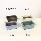 ȭ��4.5�桡Ĺ����­ȭ*���