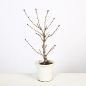 �ġ����¾�� * ���ƥ�Х�����