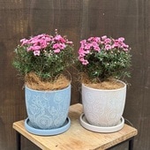 ������� ���տ�ʪ�������奦�Х� ȭ���� ������*������ ȭ�����٤ޤ� �����䥷����