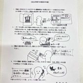 ͷ���ߺϡ��羾���������ӥ�