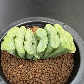 ¿����ʪ���ϥ������������ʱʲ���ˡ߶���R-2*��8���