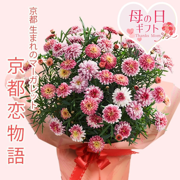 �٤�Ƥ�������������ե� �ץ쥼��ȡ��ޡ�����å� ������ʪ��*��åԥ���