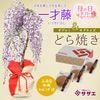 �٤�Ƥ�������������եȡ����������ƣ���ɤ�Ƥ����å�*�ץ쥼���ȭ���� ȭ�֥������Ĳ� ������bonsai