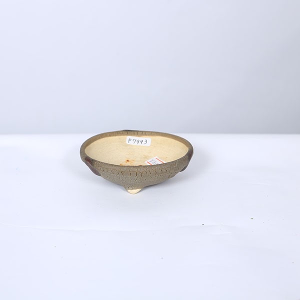 ���微ȭ������Įľ��ǭ­��ȭ�ڸ��ʡ�*8.8cm��machi