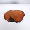 ���ġ�25.5cm�������ǡ����ڸ��ʡ�*���