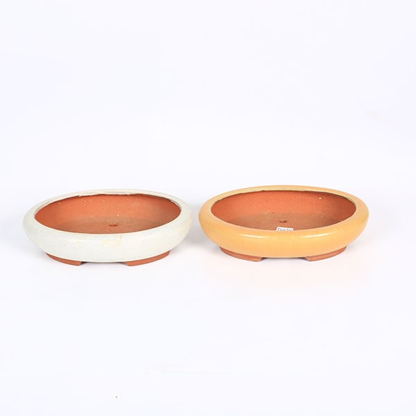 常滑作家：英明(燿山) 15.0cm【現品】*資材 eimei | 盆栽鉢・水盤