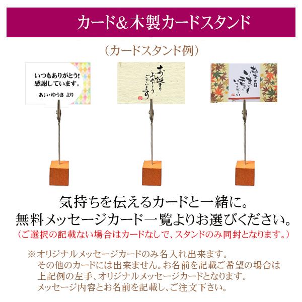 �ݶ̡��롿�ʥ� *�ʹ񻺱׻Ҿ��ʱ߼������ȥ����ɥ�������աˤʤ�  bonsai