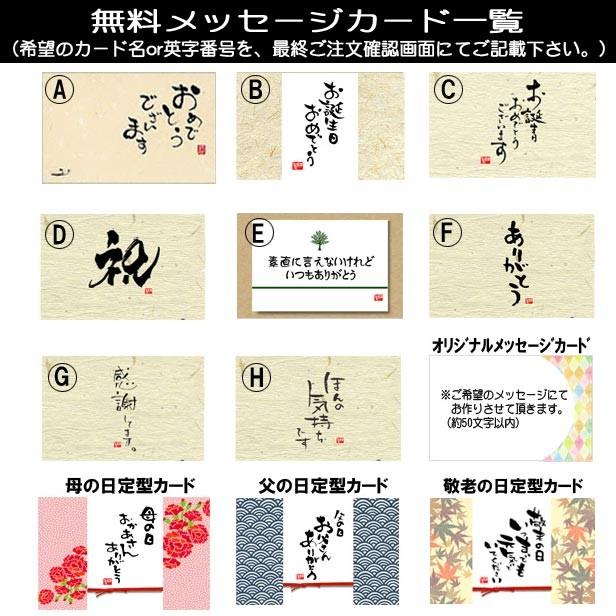 ��ʪ�ߺϡ�����ƣ�󤻿���(�硦���;�ȭ��* ������̵���ۡ�2026ǯ�ճ���ͽ���bonsai