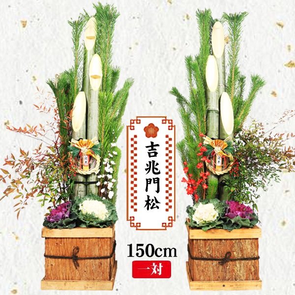 �޽ա�ŷ���Ǻ� �����羾����*(150cm) �������