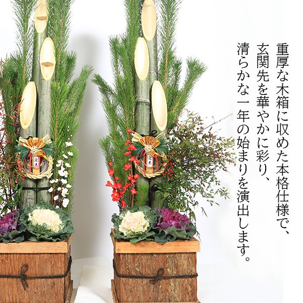 �޽ա�ŷ���Ǻ� �����羾����*(150cm) �������