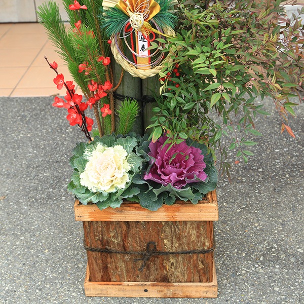 �޽ա�ŷ���Ǻ� �����羾����*(150cm) �������