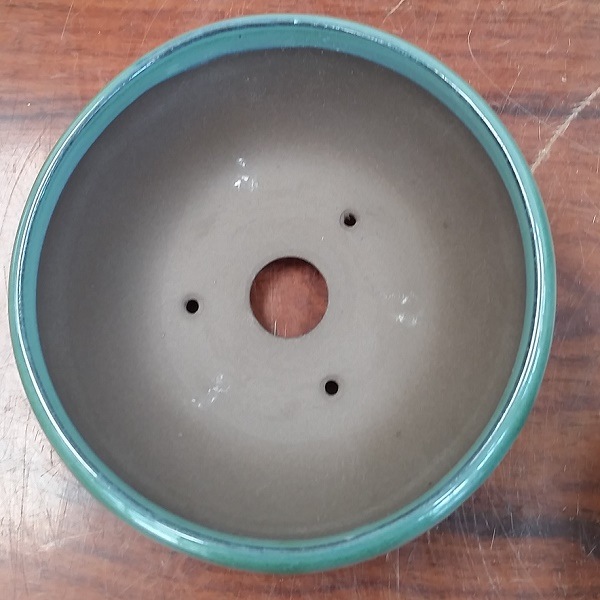 ��ȭ����ȭ(Ŵȭ4��)��13.0���*���