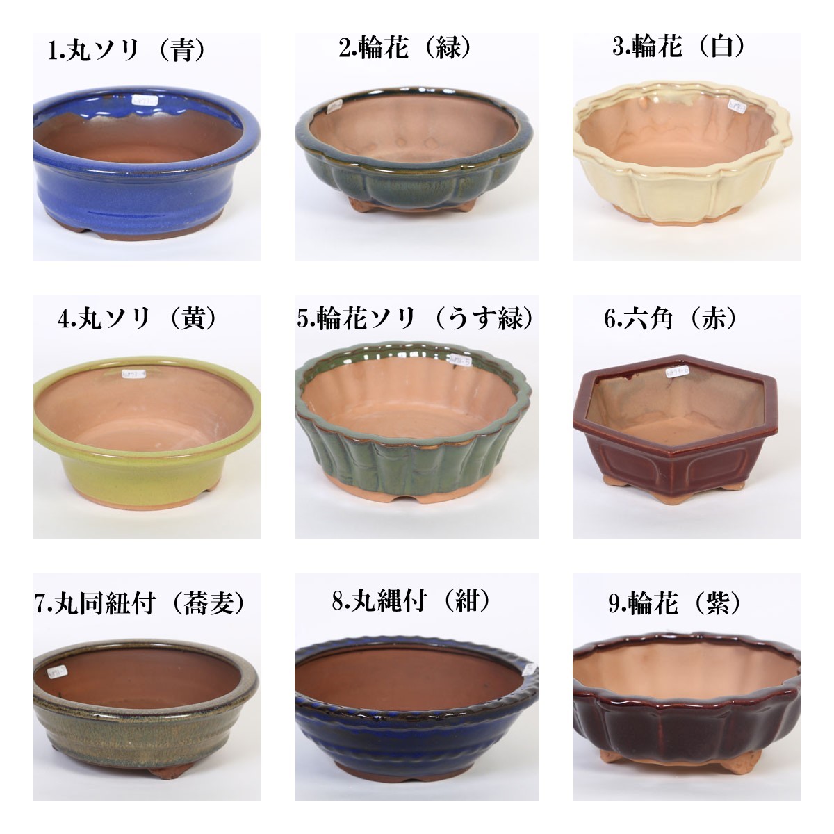 特価鉢：中国浅鉢 6号＊資材 | 新着商品,新入荷：鉢・その他 | 遊恵