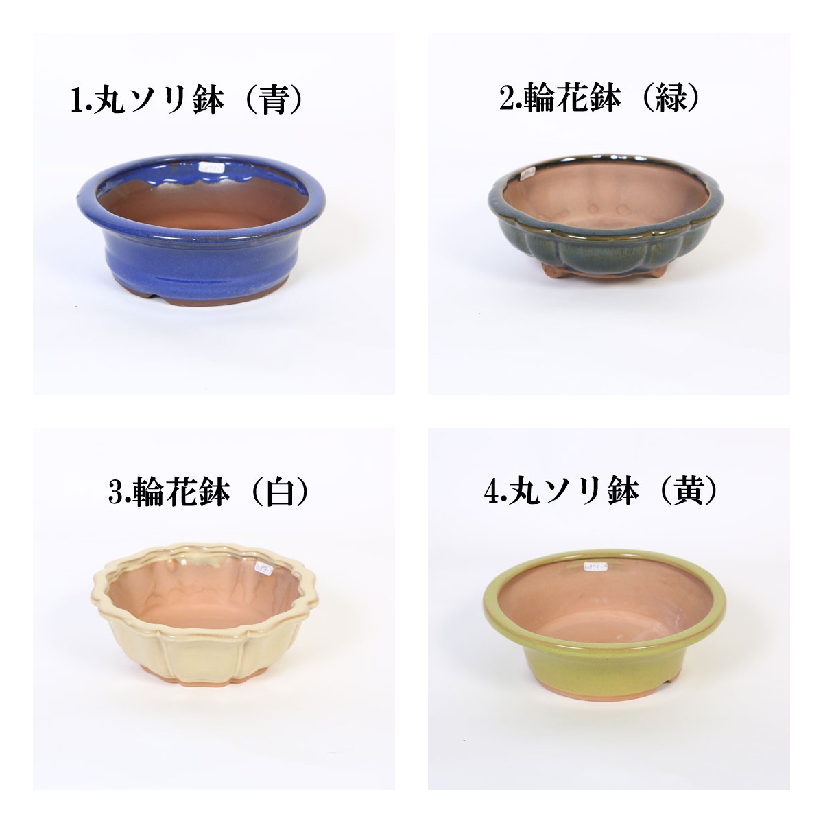 特価鉢：中国浅鉢 6号＊資材 | 新着商品,新入荷：鉢・その他 | 遊恵