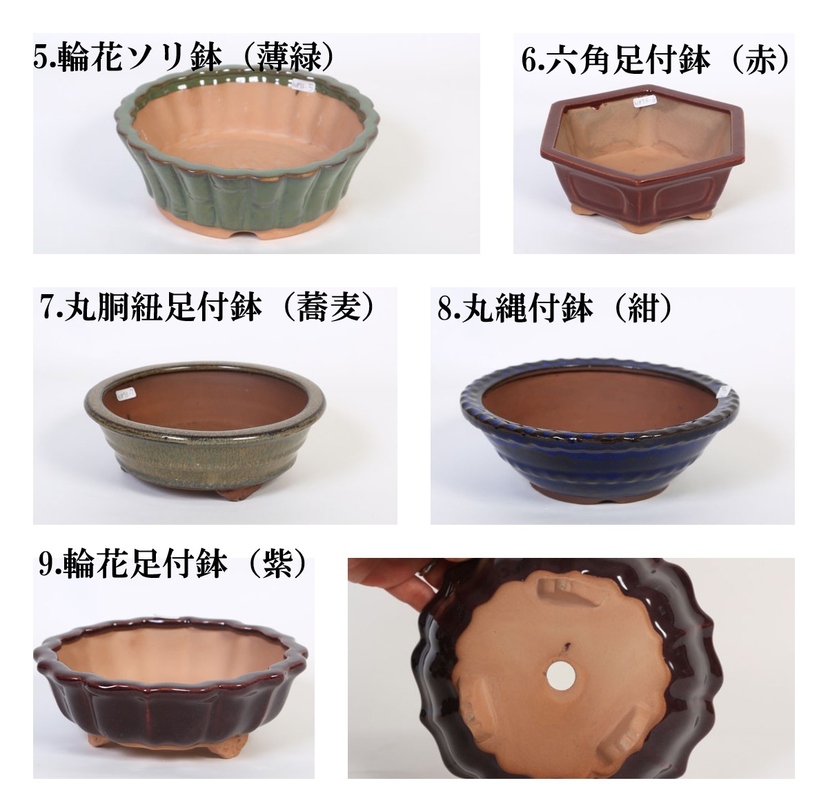 特価鉢：中国浅鉢 6号＊資材 | 新着商品,新入荷：鉢・その他 | 遊恵
