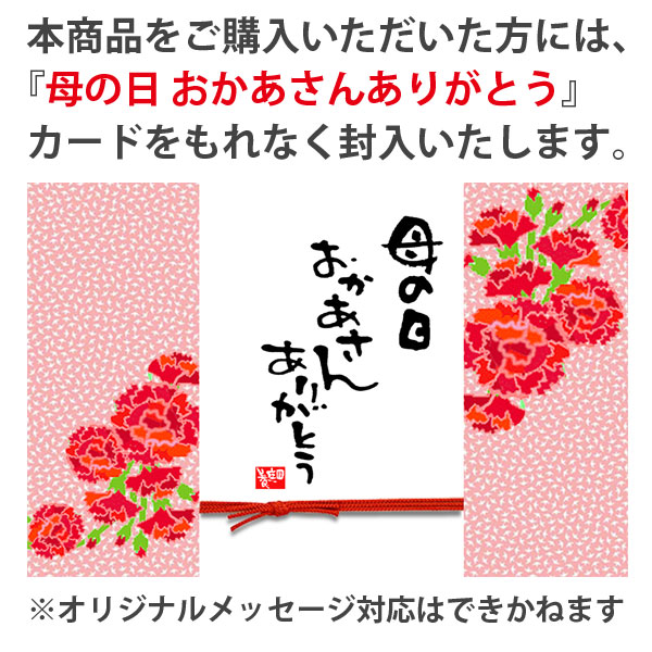 �٤�Ƥ�������������եȺ��������Ȭ�ź� �Х����å���*�ץ�ȭ���������å���������������ˡ�����̵���ۡڤ�����ۡڥ�����bonsai