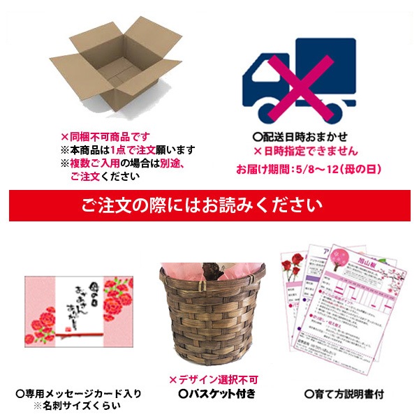 �٤�Ƥ�������������եȺ��������Ȭ�ź� �Х����å���*�ץ�ȭ���������å���������������ˡ�����̵���ۡڤ�����ۡڥ�����bonsai