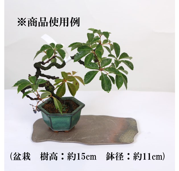 ���微ȭ���ƾ���û����7.5��*���