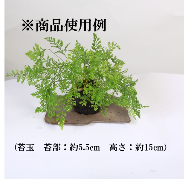 ���微ȭ���ƾ���ƫ�ġ�4.5��*���