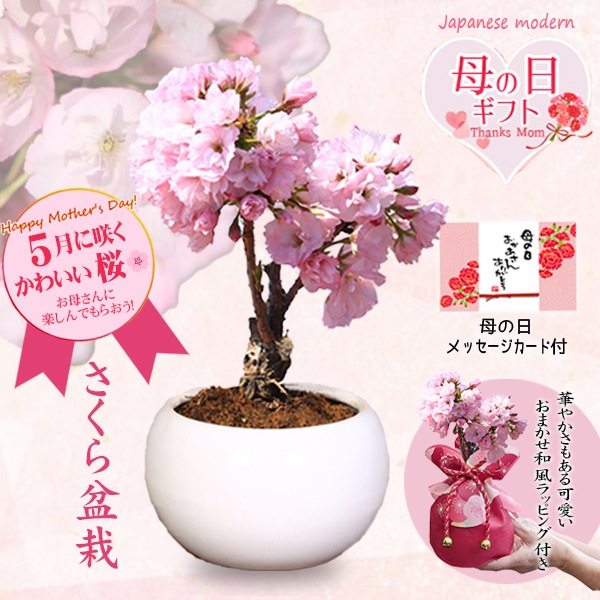 �٤�Ƥ����ͺ��ߺϡ���������ֺ�(���ƫ��ȭ)* ������̵���ۡڥ�åԥ��աۡڤ������ߺϡ�