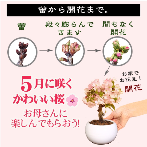 �٤�Ƥ����ͺ��ߺϡ���������ֺ�(���ƫ��ȭ)* ������̵���ۡڥ�åԥ��աۡڤ������ߺϡ�