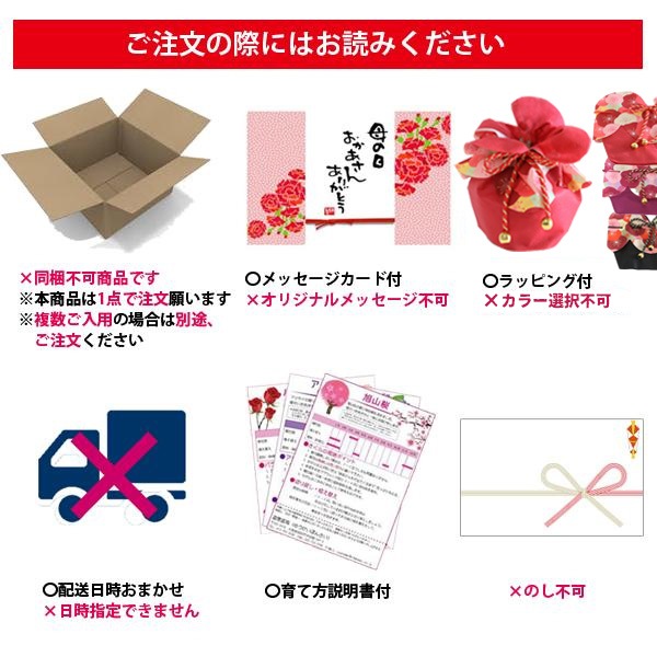 �٤�Ƥ����ͺ��ߺϡ���������ֺ�(���ƫ��ȭ)* ������̵���ۡڥ�åԥ��աۡڤ������ߺϡ�