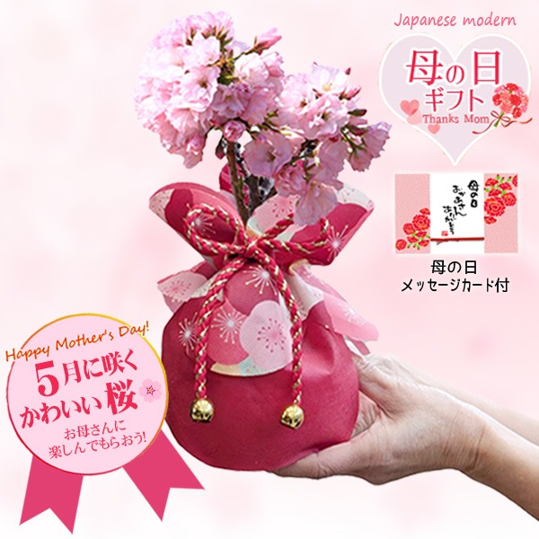 �٤�Ƥ����ͺ��ߺϡ���������ֺ�(���ƫ��ȭ)* ������̵���ۡڥ�åԥ��աۡڤ������ߺϡ�