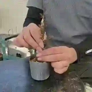 �����ġ�������ʿ˶��դ���*�����ߤǶʤ����shinpaku��������󥸰�Ƥ��ߺ��Ǻ�<���̴��ָ���>