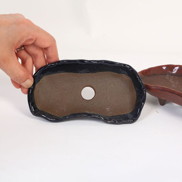 �ò���­�չ��ѷ�ȭ��15.5cm*���