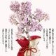 �٤�Ƥ�������������եȺ�����������¾��*���������å����������ɤ�������åԥ��ա�bonsai
