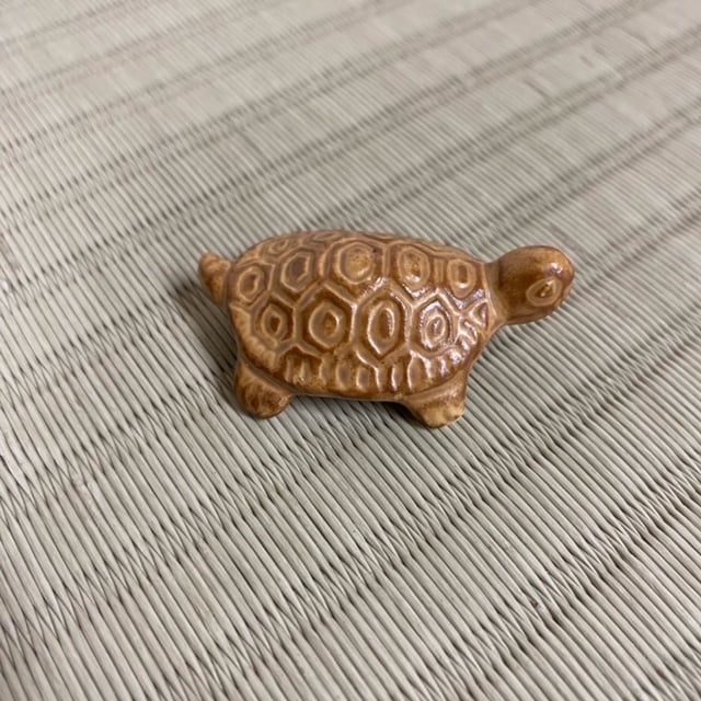 ź�ʡ��������*���