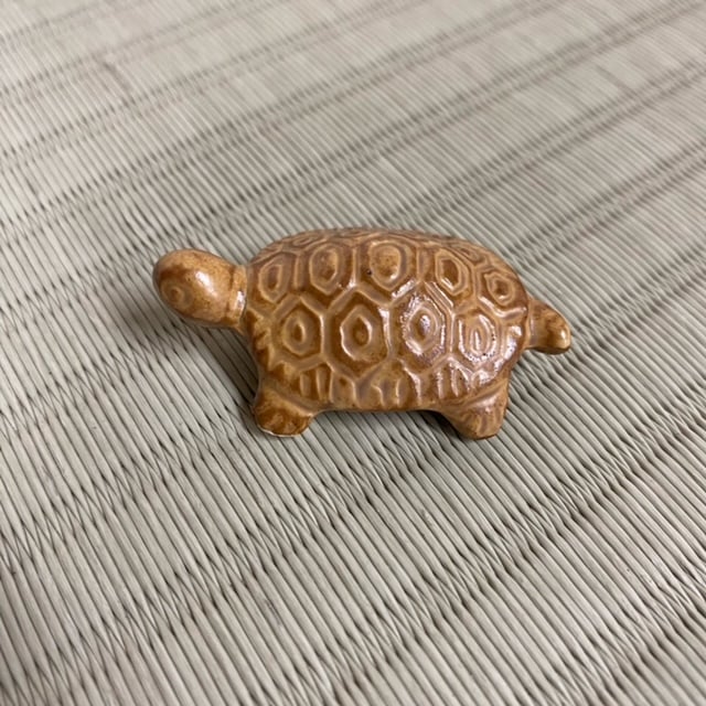 ź�ʡ��������*���