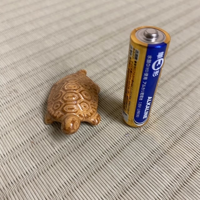 ź�ʡ��������*���